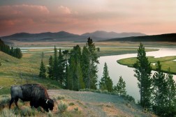 Planning Your Perfect Family Road Trip: Must-Visit National Parks along the Way