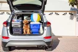 Road Trip Success Starts with Preparation: Use This Packing Checklist