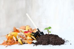 Composting 101: A Beginner’s Guide to Managing Organic Waste